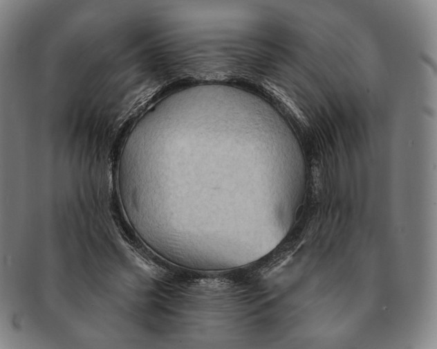 X0000091230541200708301518