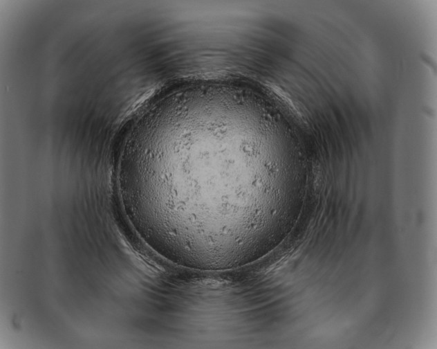 X0000091230542200708301518