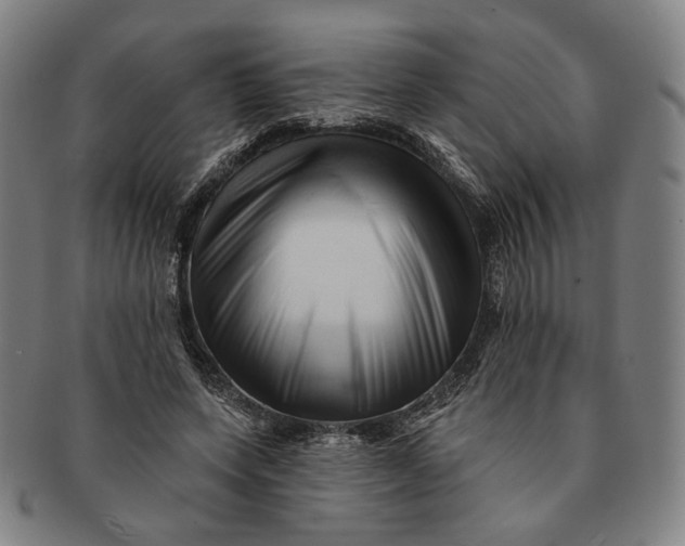 X0000091230543200708301518