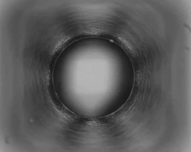 X0000091230544200708301518