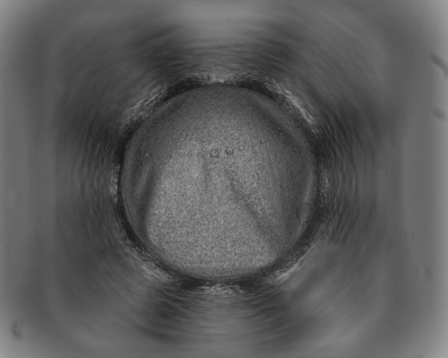 X0000091230545200708301518