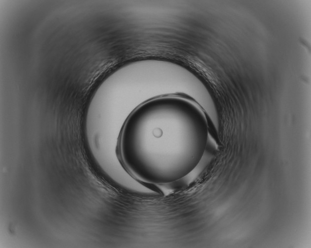 X0000091230546200708301518