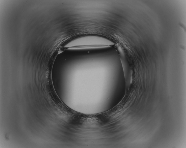 X0000091230548200708301518