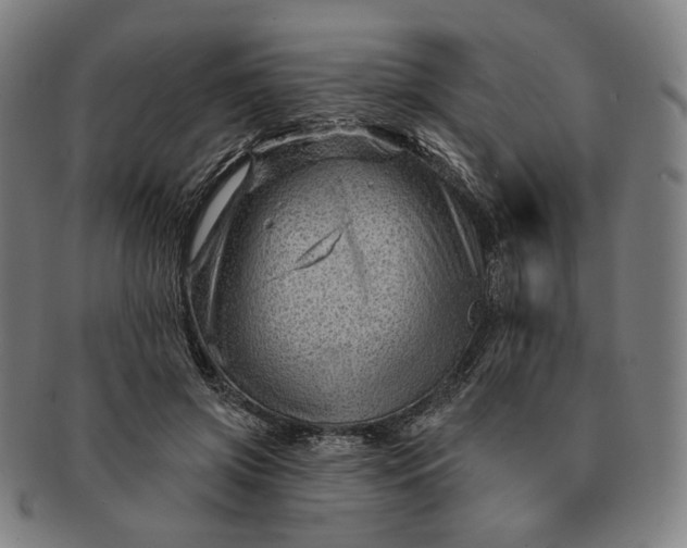X0000091230549200708301518