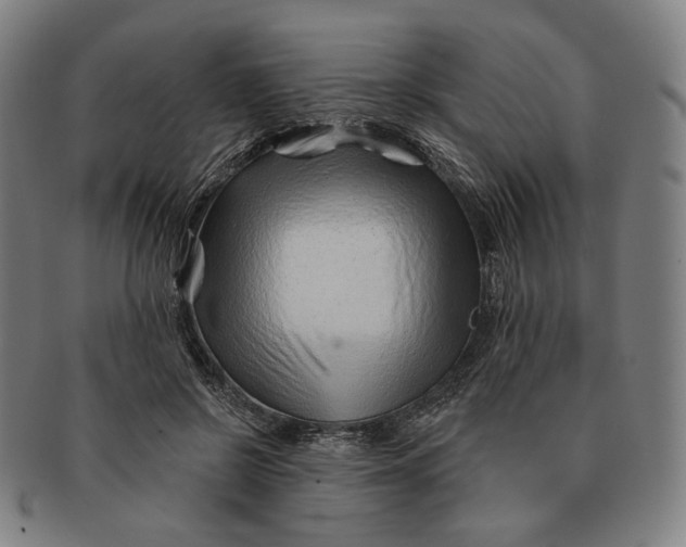 X0000091230550200708301518