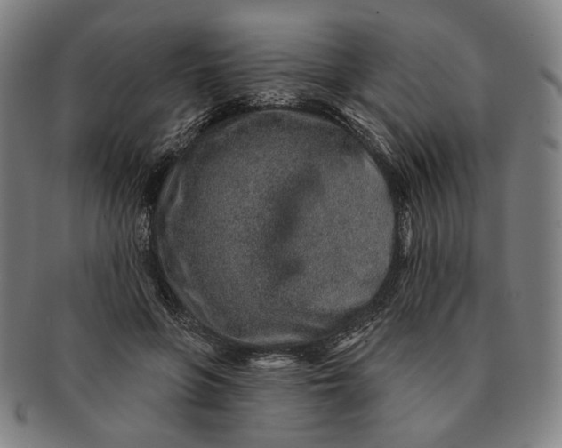 X0000091230551200708301518