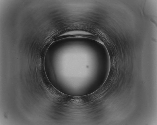 X0000091230552200708301518