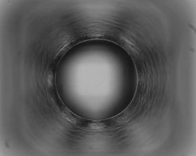 X0000091230556200708301518