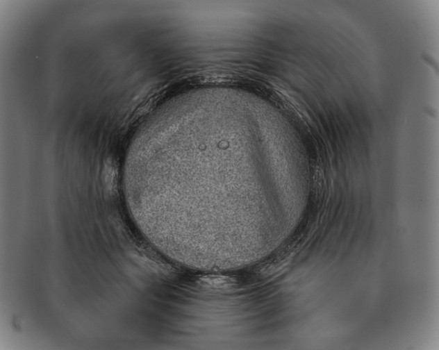 X0000091230557200708301518