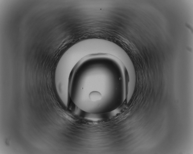 X0000091230558200708301518