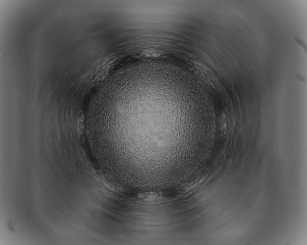 X0000091230559200708301518