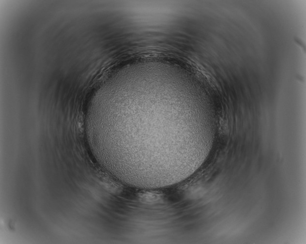 X0000091230561200708301518