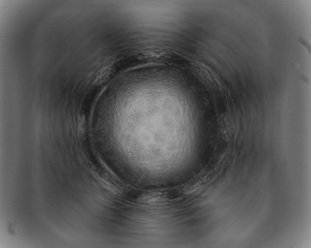 X0000091230563200708301518