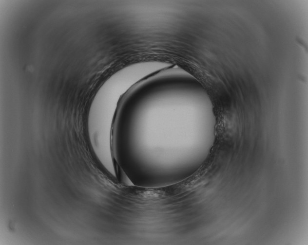 X0000091230566200708301518