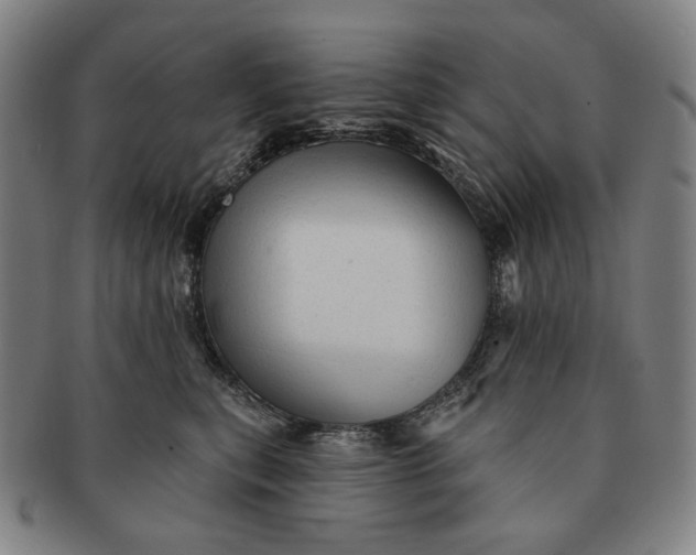 X0000091230567200708301518
