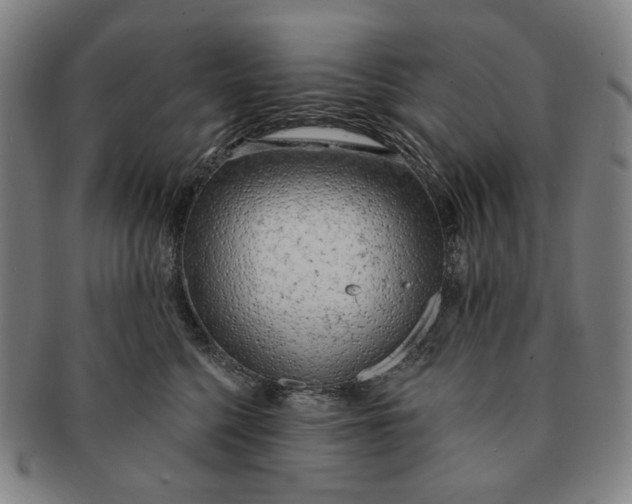 X0000091230568200708301518