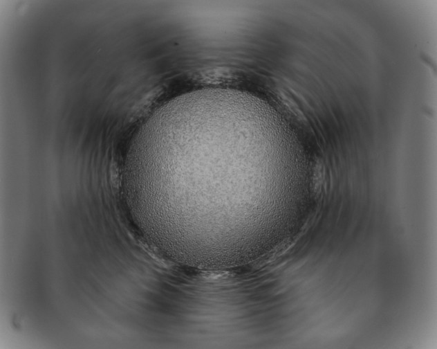 X0000091230569200708301518