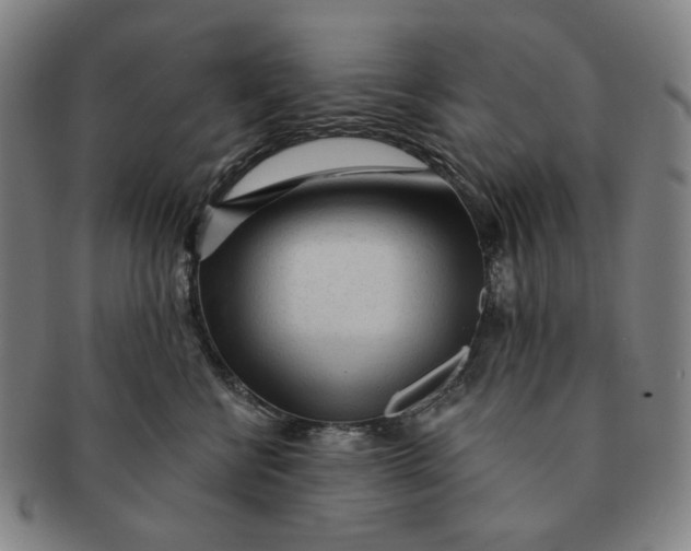 X0000091230570200708301518