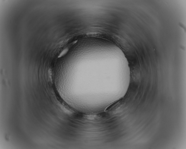 X0000091230575200708301518