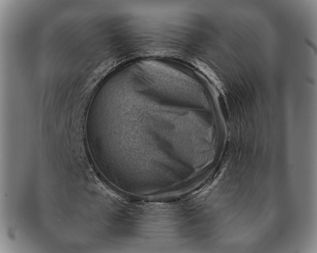 X0000091230577200708301518
