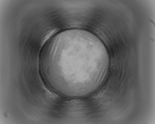 X0000091230578200708301518