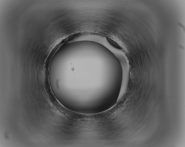 X0000091230580200708301518