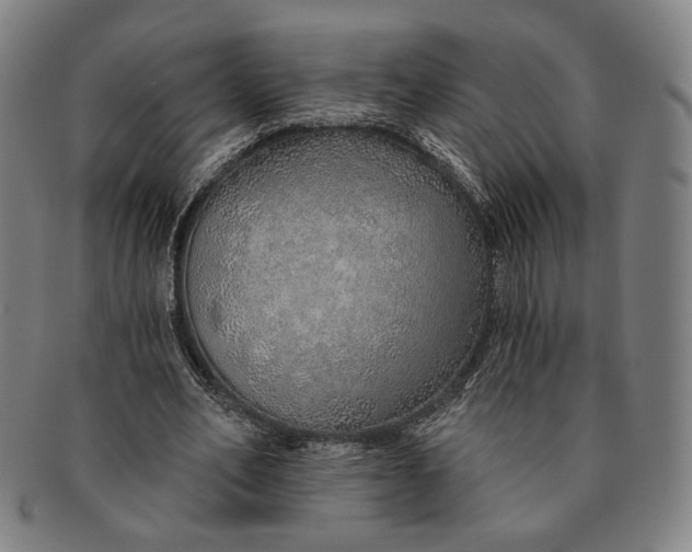 X0000091230582200708301518