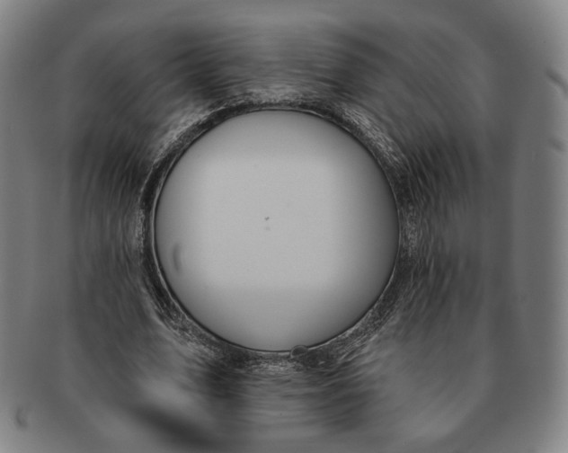 X0000091230583200708301518
