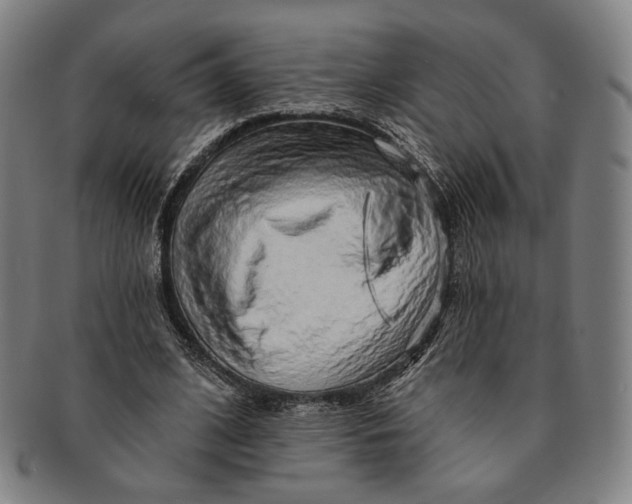 X0000091230584200708301518