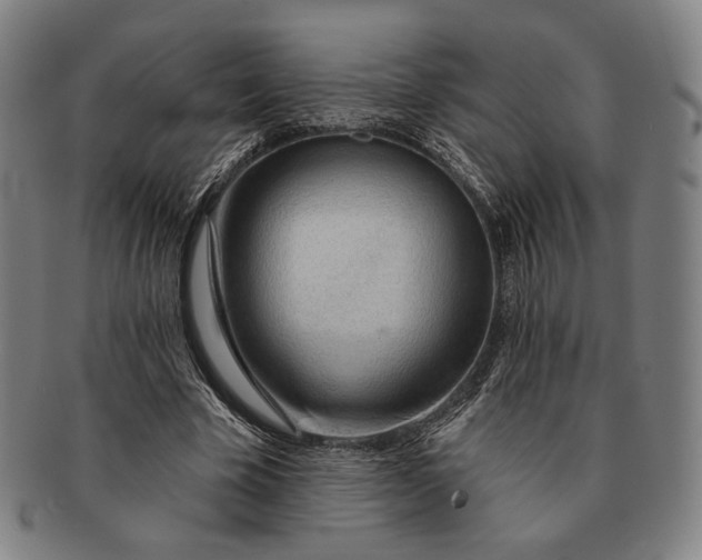 X0000091230585200708301518