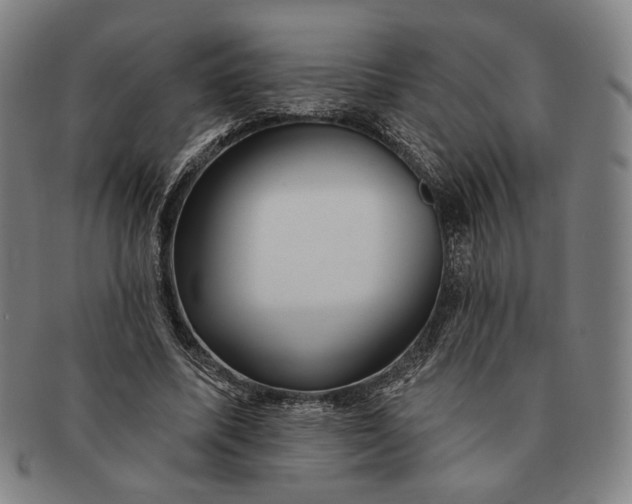 X0000091230587200708301518