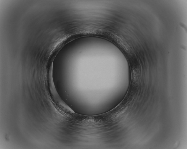 X0000091230588200708301518