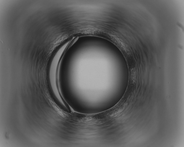 X0000091230589200708301518