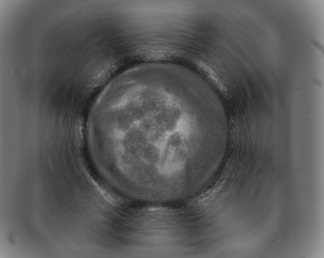 X0000091230590200708301518