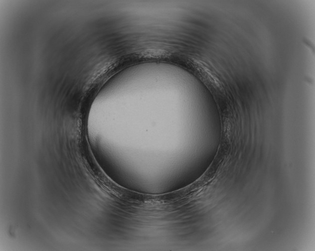 X0000091230591200708301518