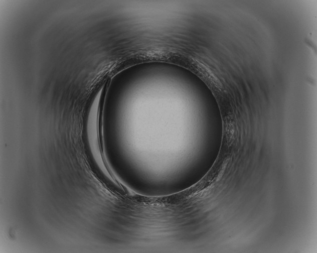 X0000091230593200708301518