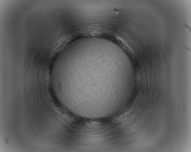 X0000091230594200708301518