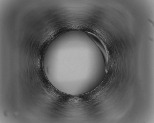 X0000091230595200708301518
