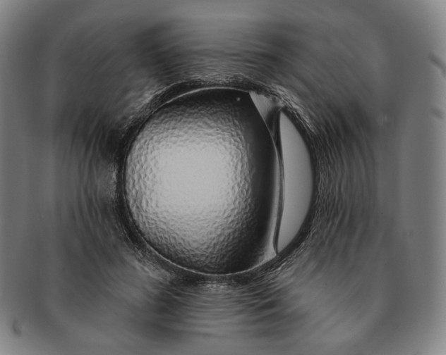 X0000091230596200708301518