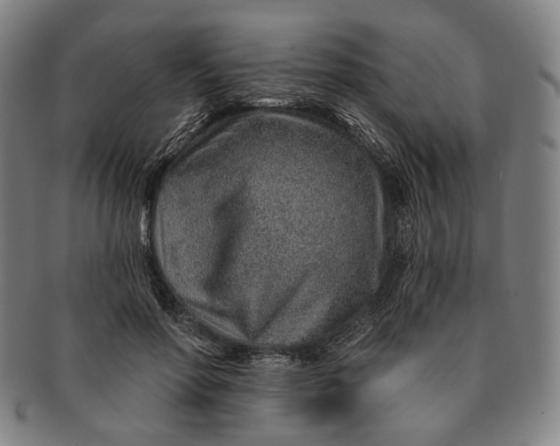 X0000091230598200708301518