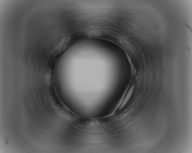 X0000091230600200708301517