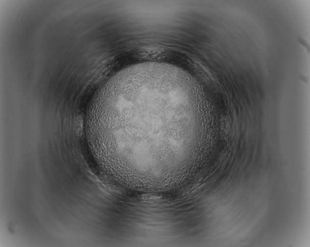 X0000091230602200708301517