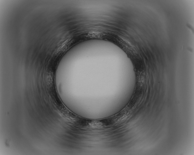 X0000091230603200708301517