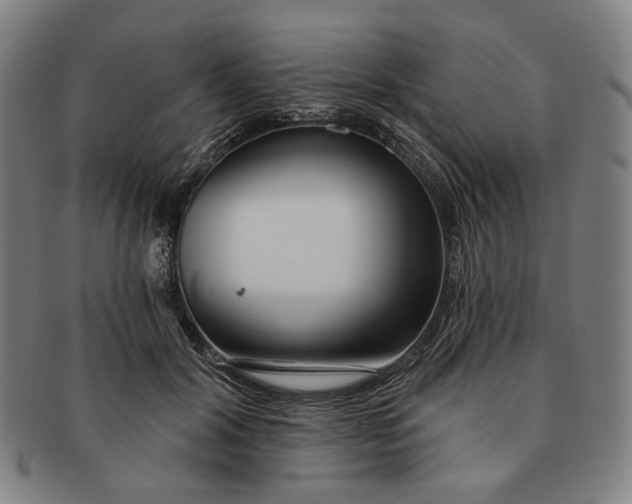 X0000091230604200708301517