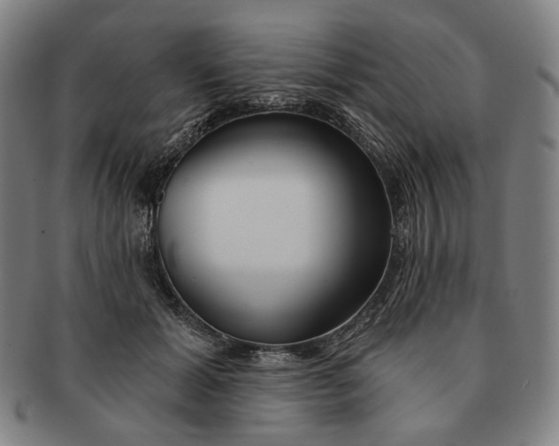 X0000091230605200708301517