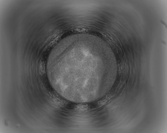 X0000091230606200708301517