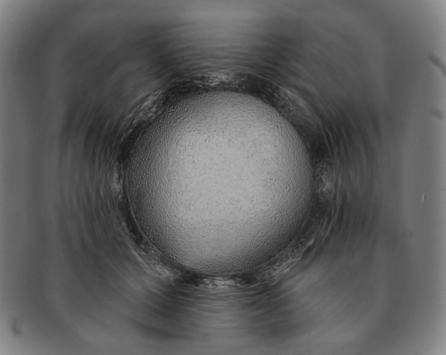 X0000091230607200708301517