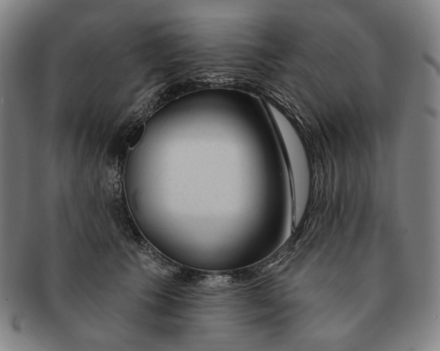 X0000091230609200708301517