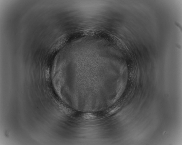 X0000091230610200708301517
