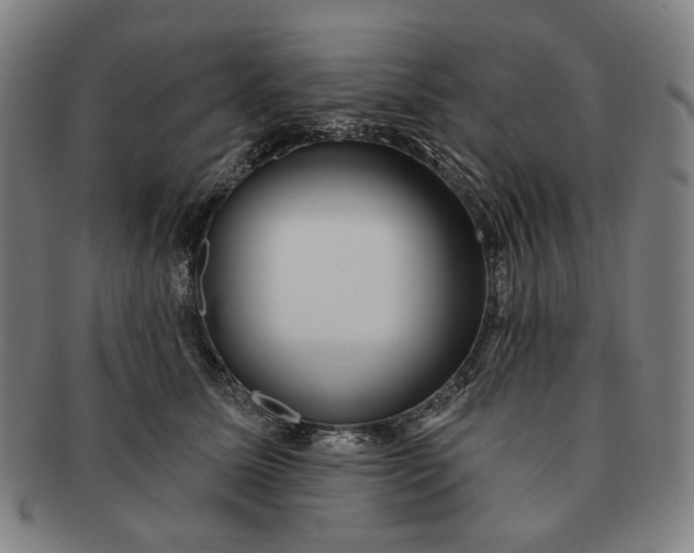 X0000091230611200708301517